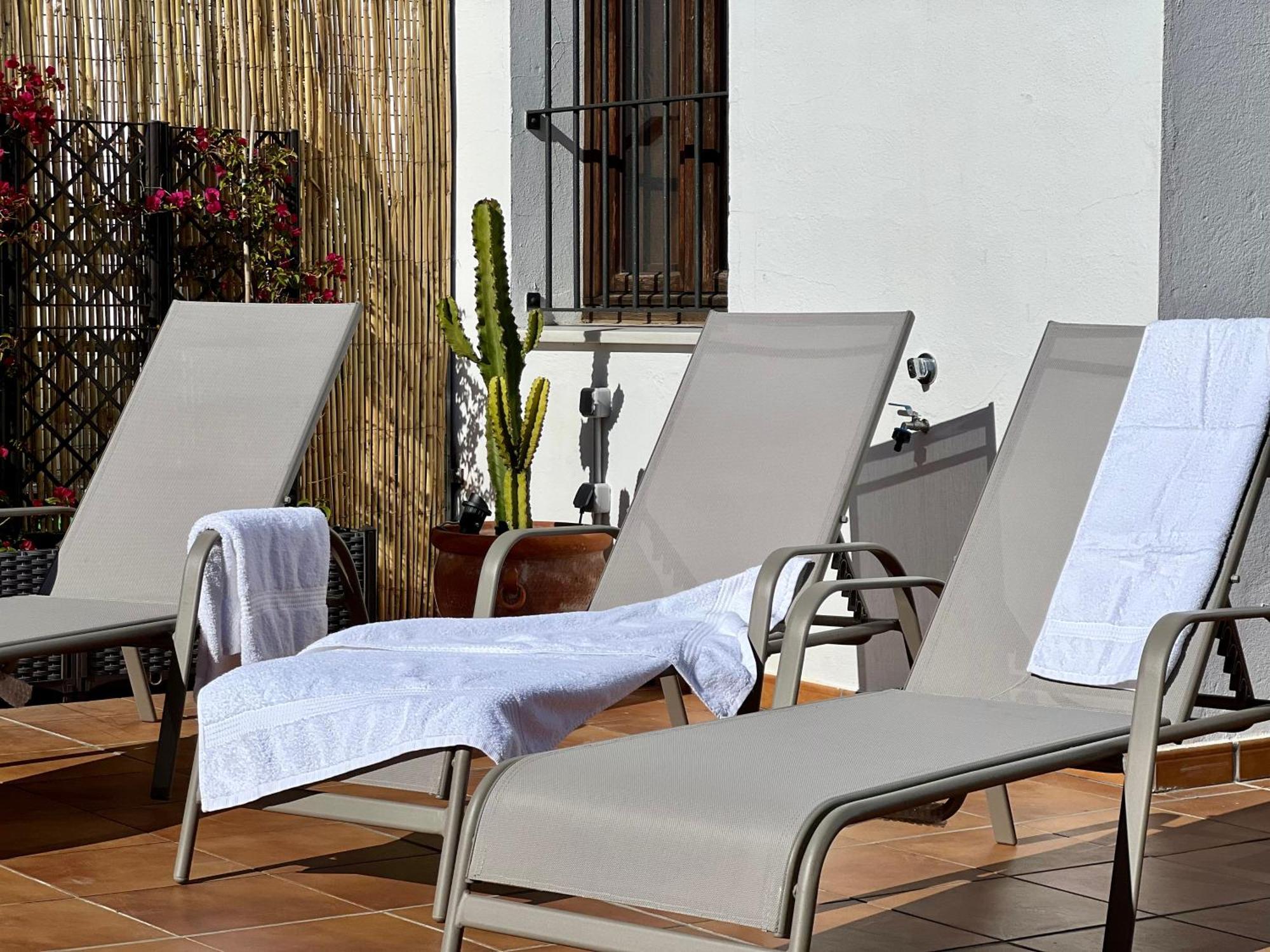La Terraza De Porvenir 10 - Appartement Jerez de la Frontera