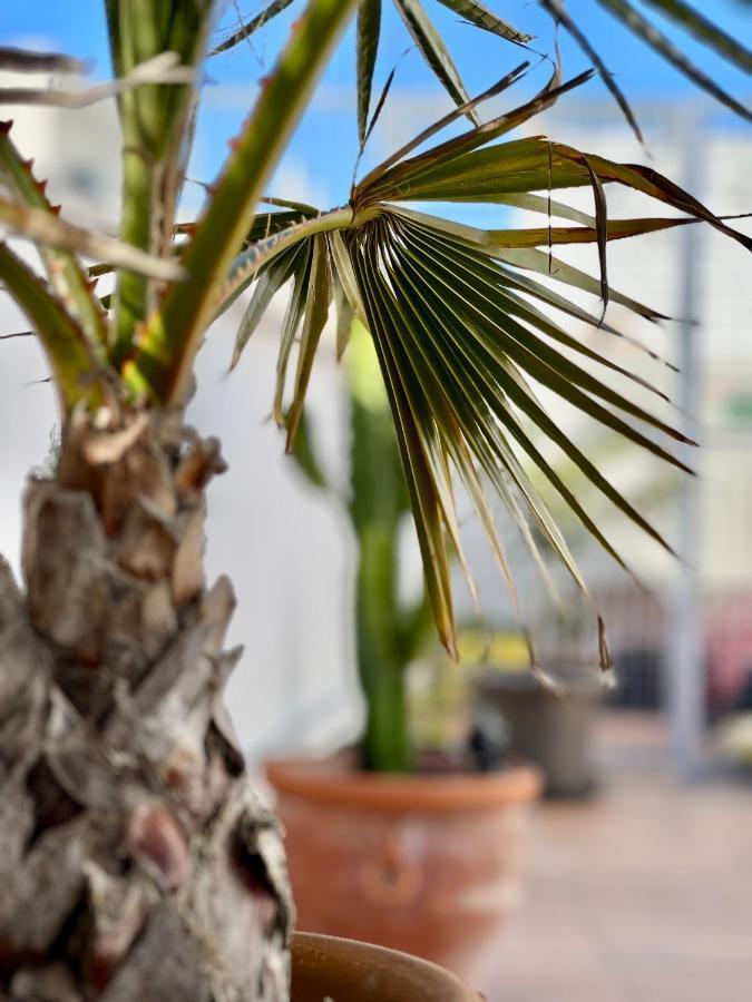 Appartement La Terraza De Porvenir 10 - Jerez de la Frontera