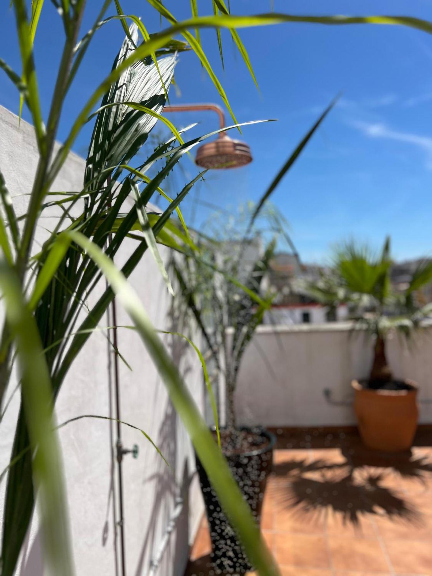 La Terraza De Porvenir 10 -